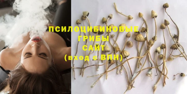 PSILOCYBIN Балахна