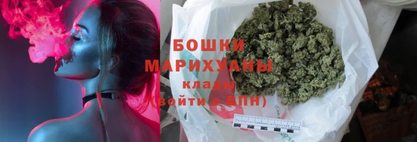 Альфа ПВП Аркадак
