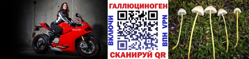 Галлюциногенные грибы Psilocybine cubensis  блэк спрут онион  Радужный 